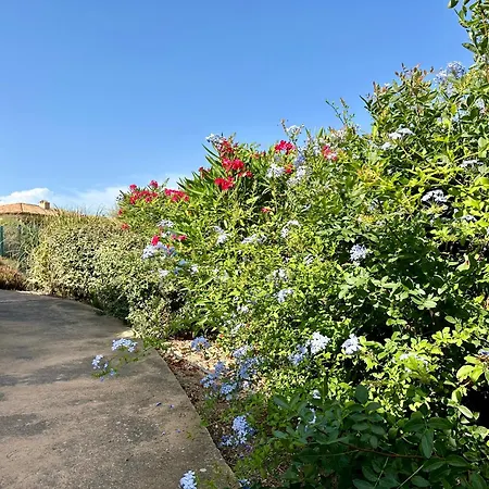 Climatise Avec Piscine Et Jardin A L'entree Du Golfe De St Tropez *